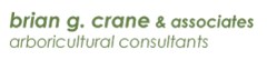 Brian G Crane & Associates
