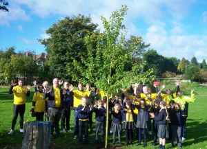Job done ... tree planted ... Maney Hill Primary