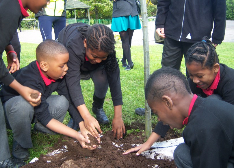 Many hands make light work of tree planting at Nelson Primary