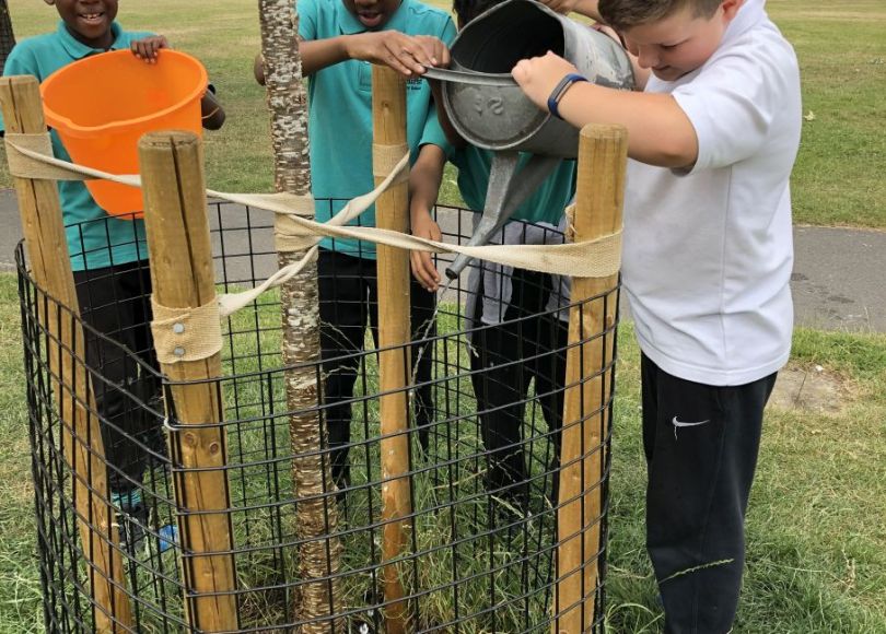 Young Tree Maintenance Bike Ride